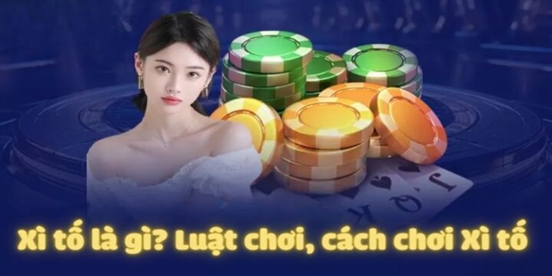 Trình tự diễn ra 1 ván cược 